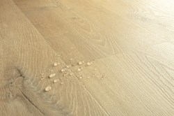 5dc4c4a6340adad7b4f2a3478f0e30e3