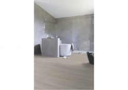 aspc20246-1-1152x812