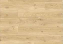 bacl40018-0-1152x812