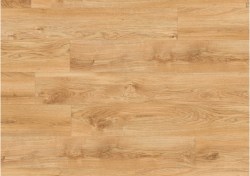 bacl40023-0-1152x812