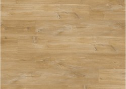 bacl40039-0-1152x812