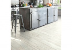 bacl40040-2-1152x812