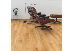 bacp40023-2-1152x812