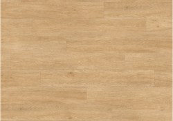 bagp40130-0-1152x812