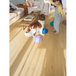data-quick-step-alpha-vinyl-bloom-avmpu40318-brushed-oak-honey-11-500x500