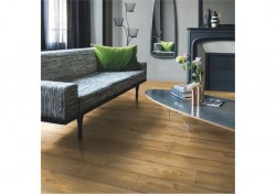 pugp40094-2-1152x812